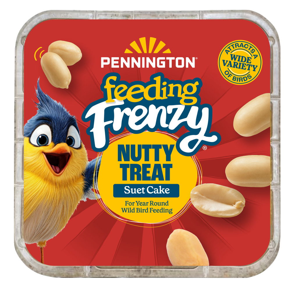 feeding-frenzy-nutty-treat-suet-cake-11-75-oz-alt-1