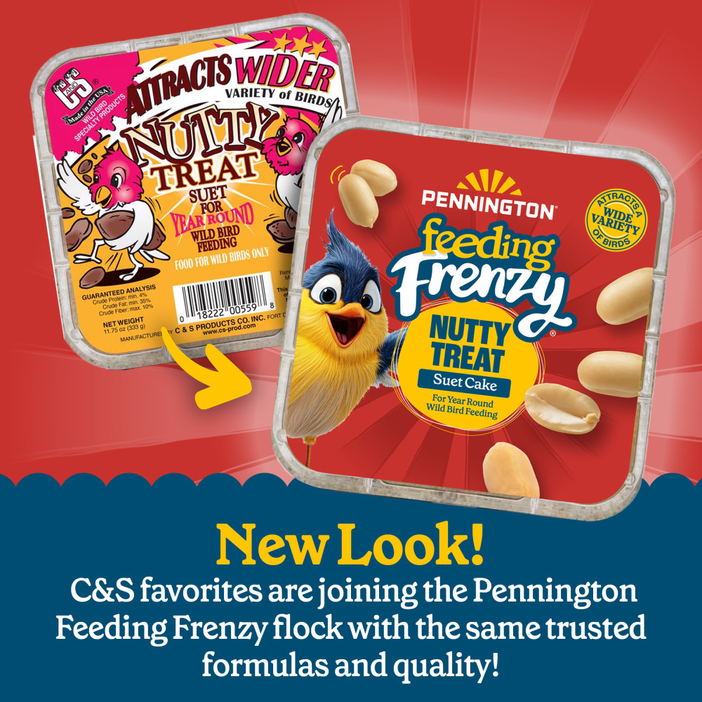 Pennington Feeding Frenzy Nutty Treat Suet Cake 11.75 oz