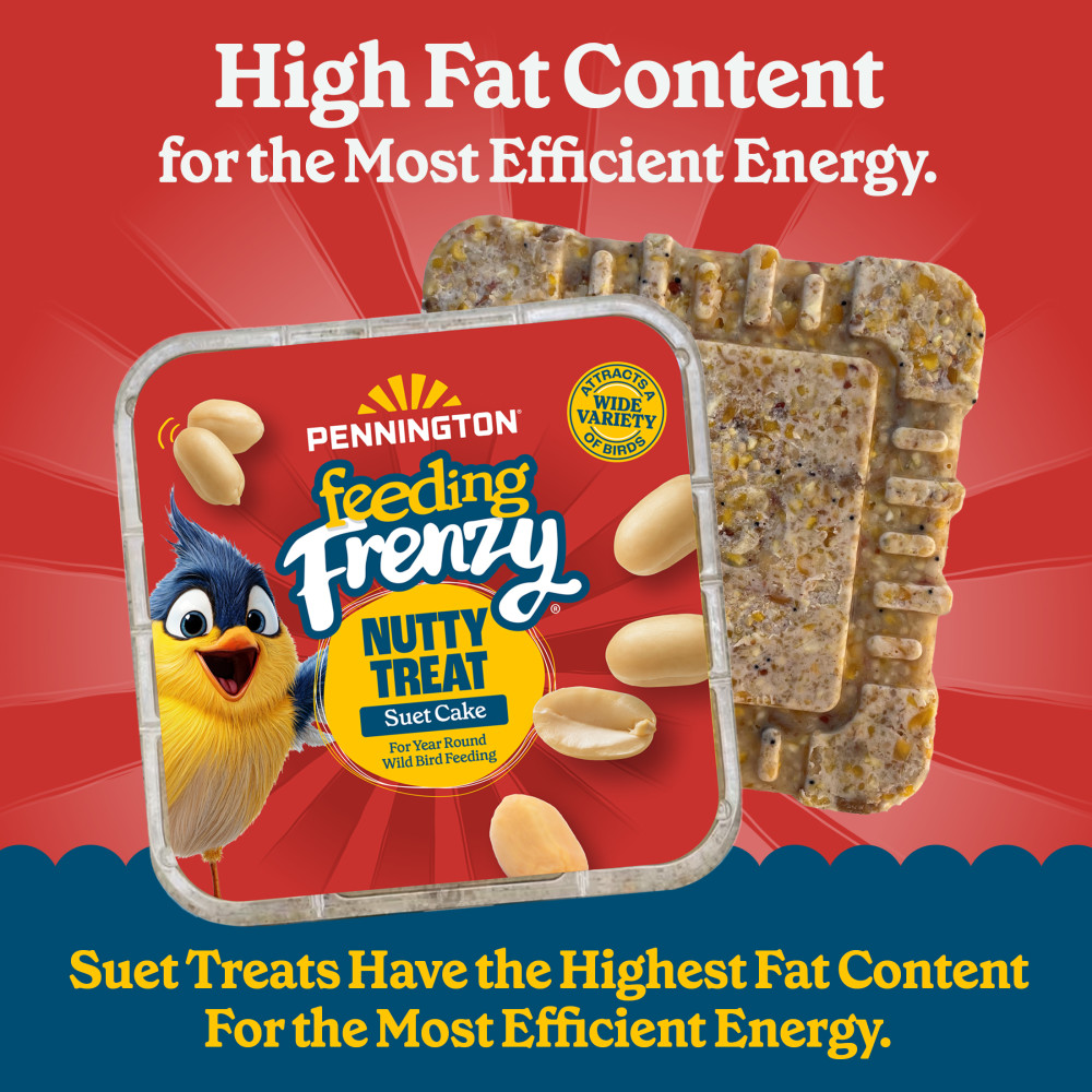 Pennington Feeding Frenzy Nutty Treat Suet Cake 11.75 oz