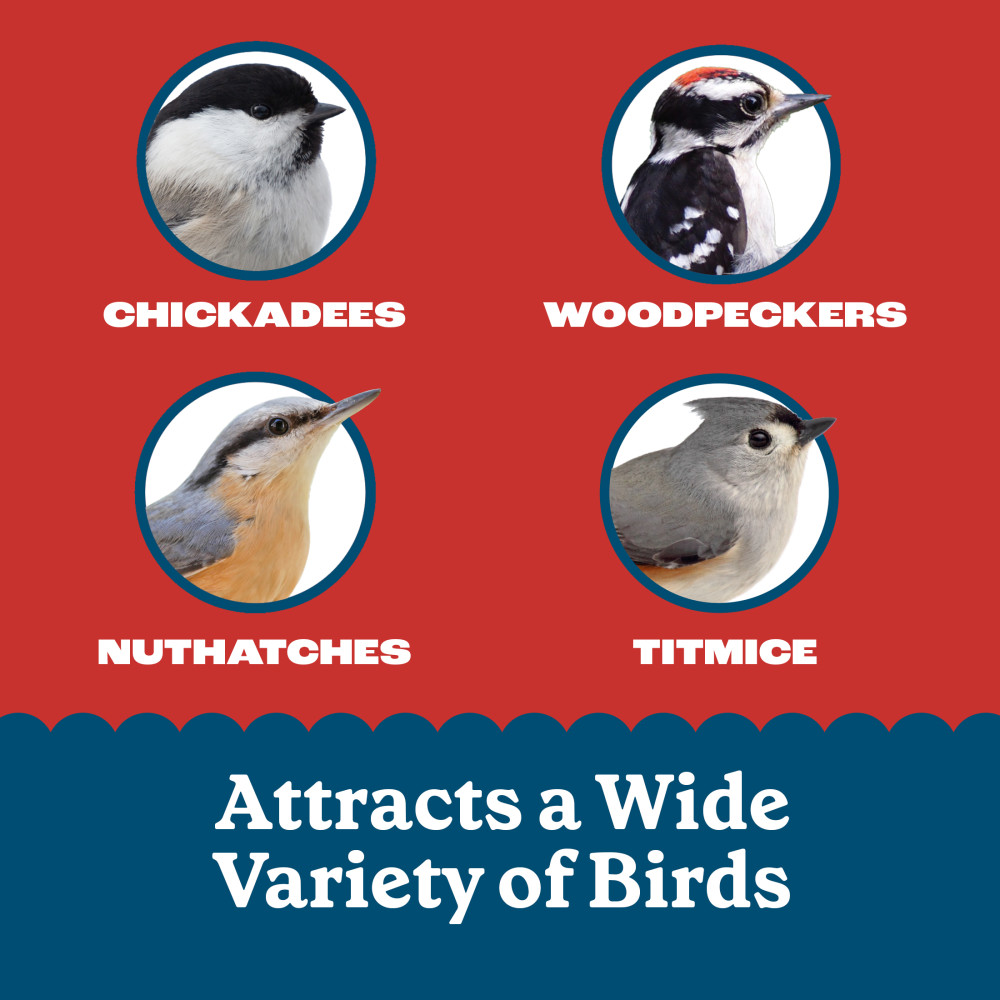 Pennington Feeding Frenzy Nutty Treat Suet Cake 11.75 oz