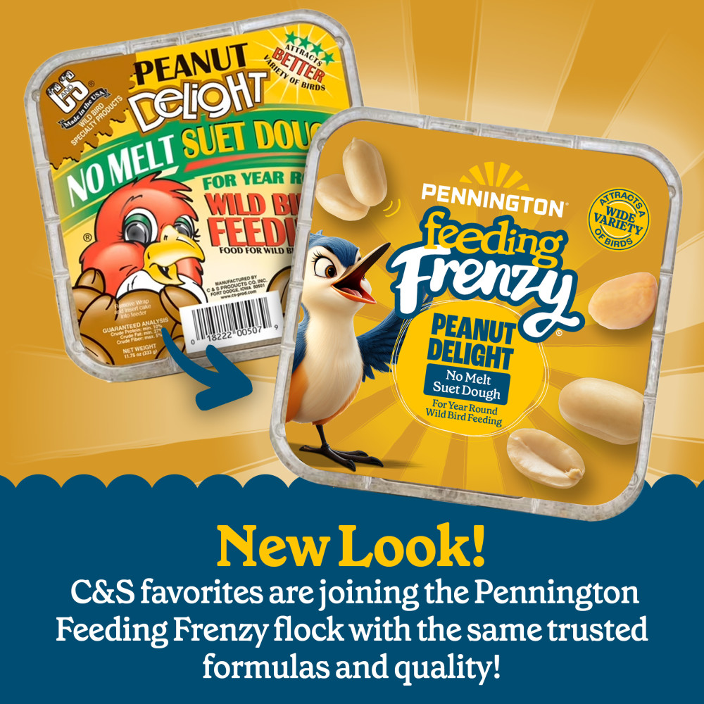 Pennington Feeding Frenzy Peanut Delight No Melt Suet Dough 11.75 oz