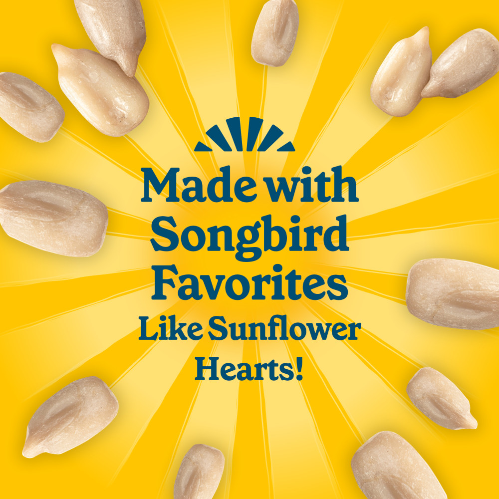 Pennington Feeding Frenzy Sunflower Treat Suet Cake 11 oz