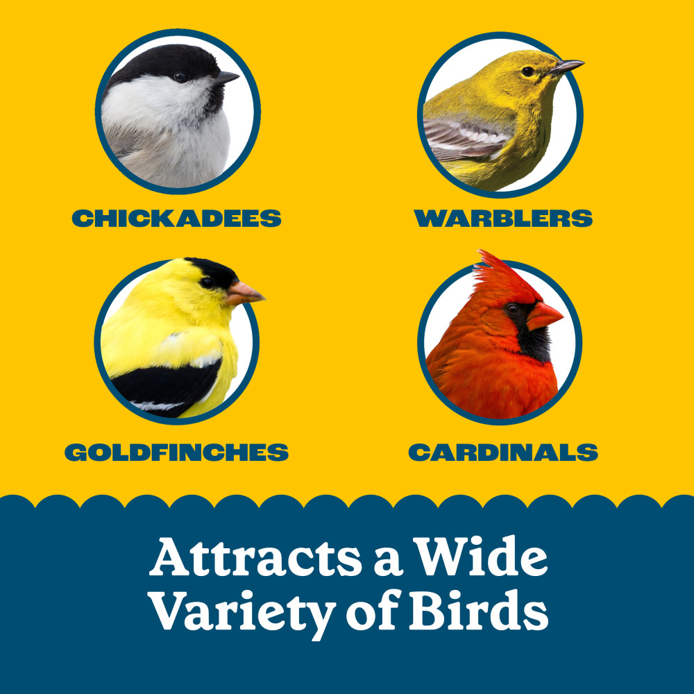 Pennington Feeding Frenzy Sunflower Treat Suet Cake 11 oz