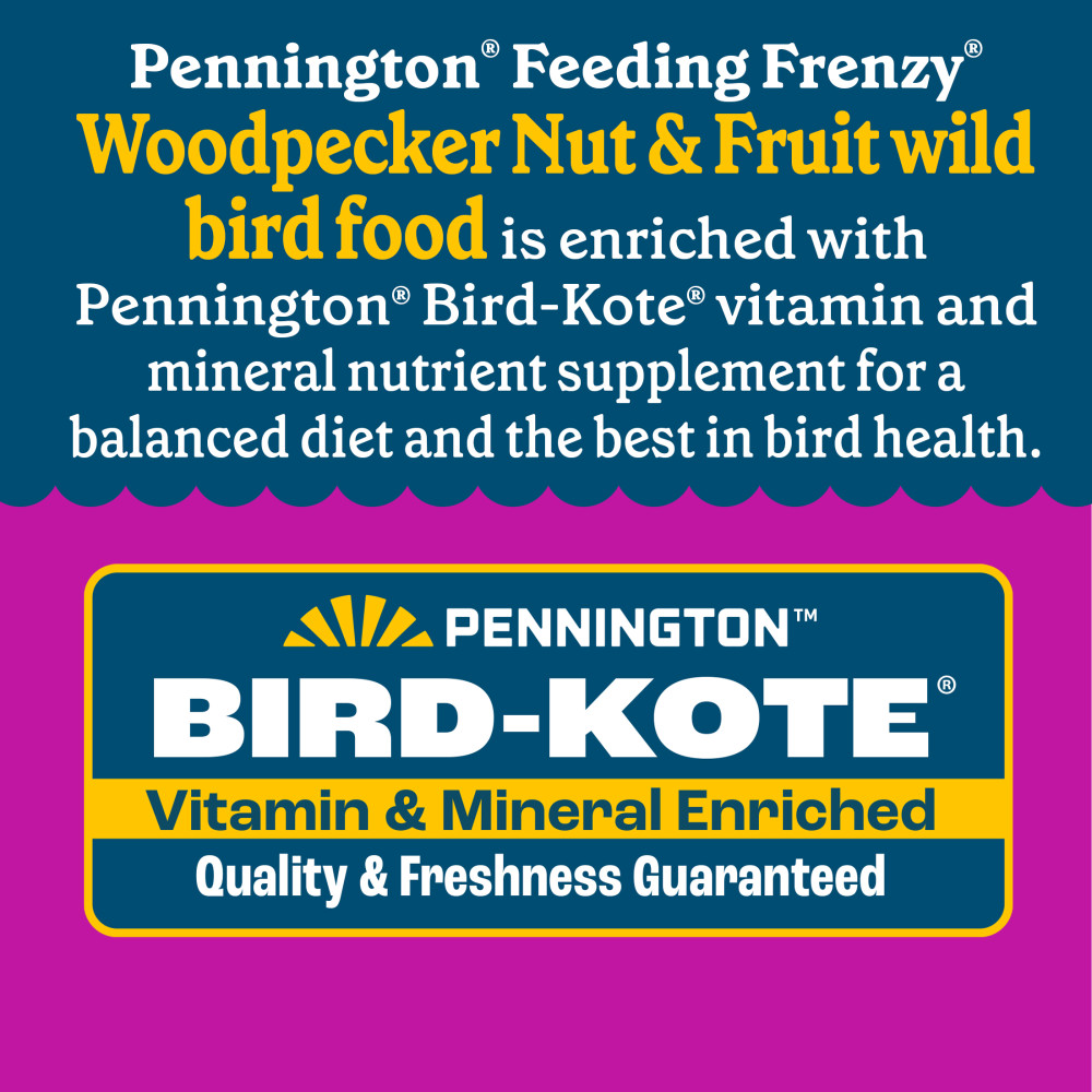 100552160penningtonfeedingfrenzywoodpeckernutfruitdoublenutblendwildbirdfood25pounds10