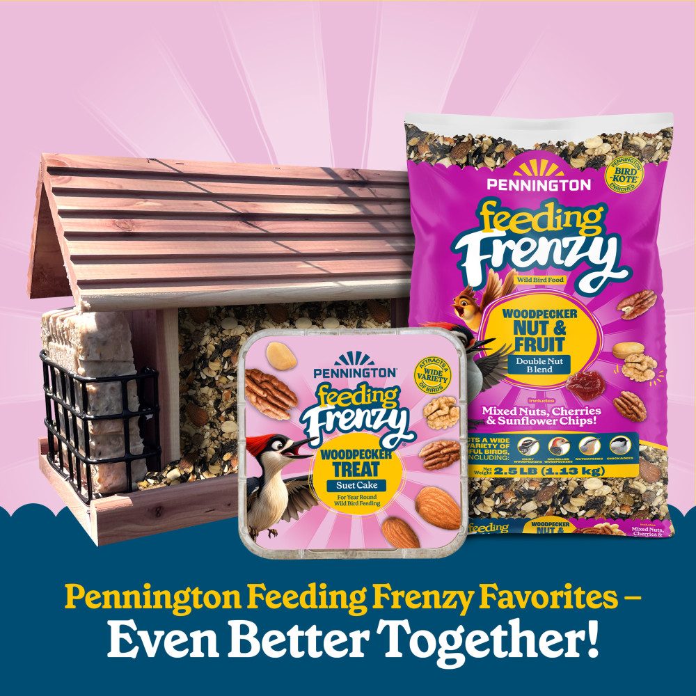 100552160penningtonfeedingfrenzywoodpeckernutfruitdoublenutblendwildbirdfood25pounds11