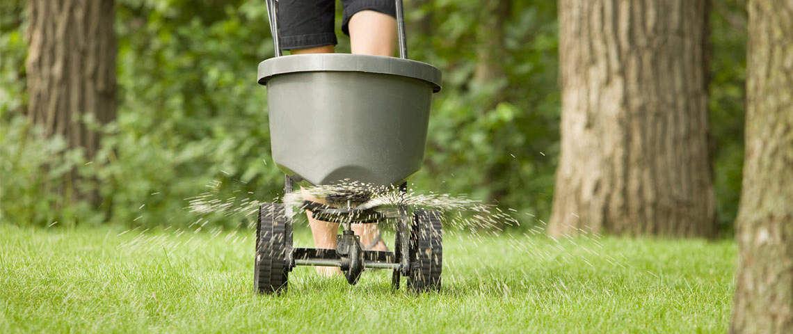 Someone spreading fertilizer onto grass using a spreader.