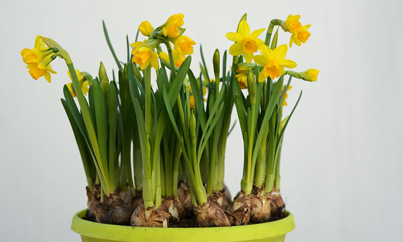 how-to-cheat-if-you-just-cant-wait