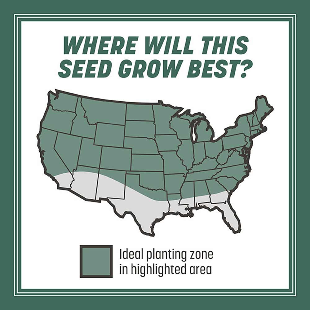 kentucky-31-tall-fescue-growth-map