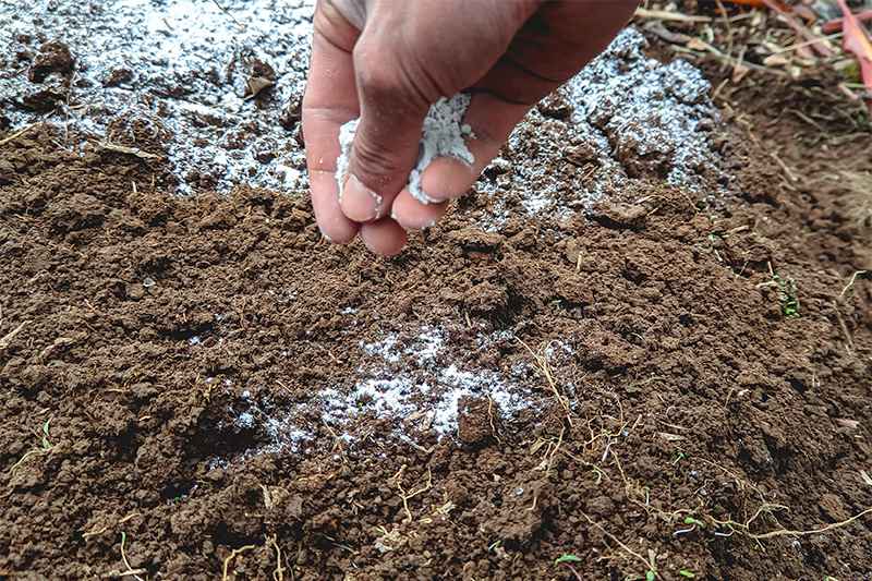 know your soil pH and fix It with dolomitic lime