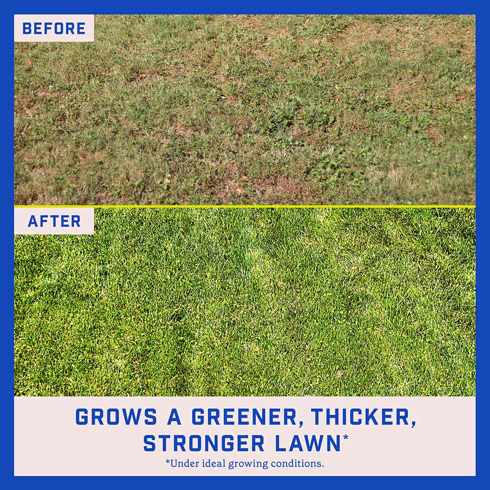 lawn-booster-sun-and-shade-4