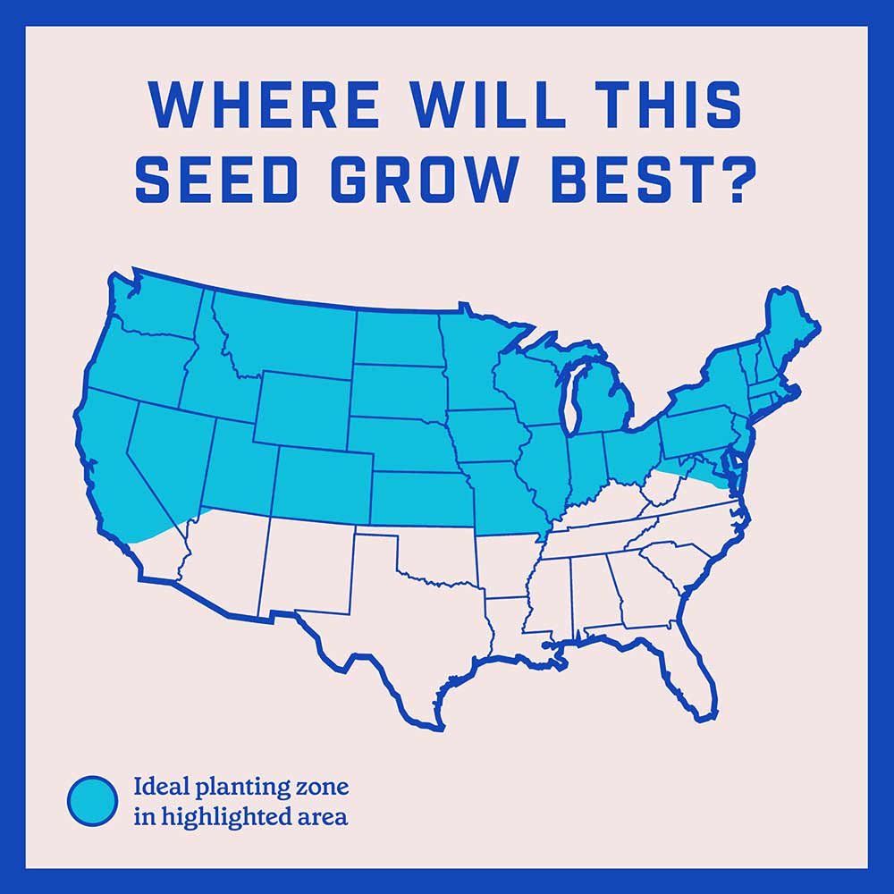 lawn-booster-sun-and-shade-7