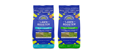 Pennington Lawn Booster