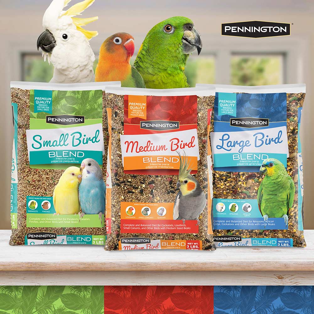 medium-bird-blend-3lbs-11