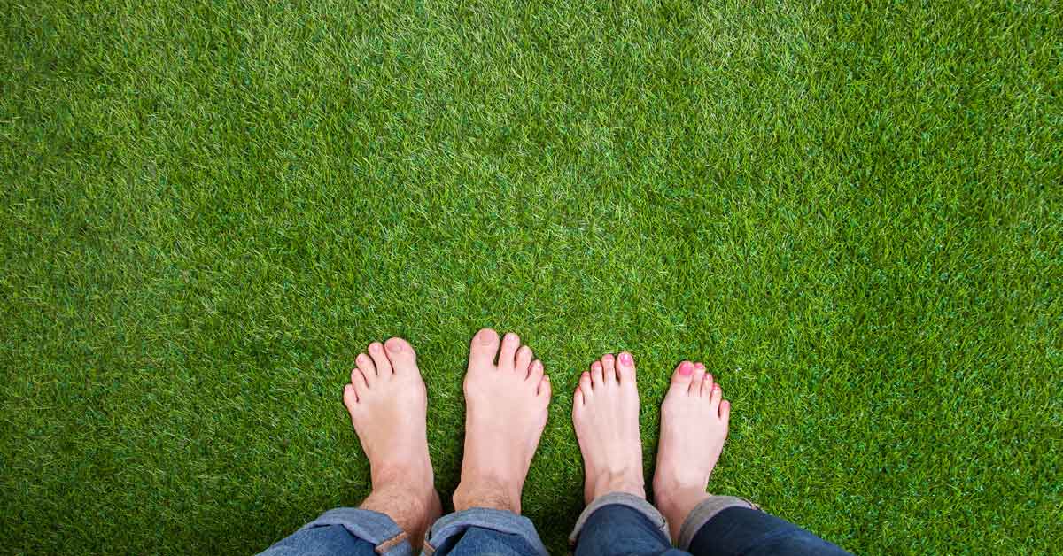 Does Your Lawn Need Lime OG