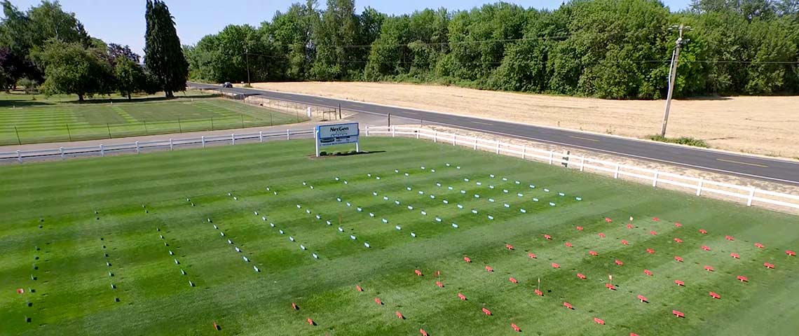 NexGen Turf Research 