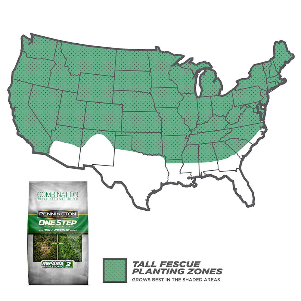 PE-1-Step-Complete_Tall_2