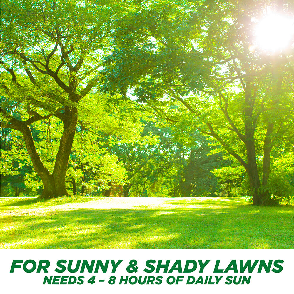 PE-1-Step-Complete_Tall_3