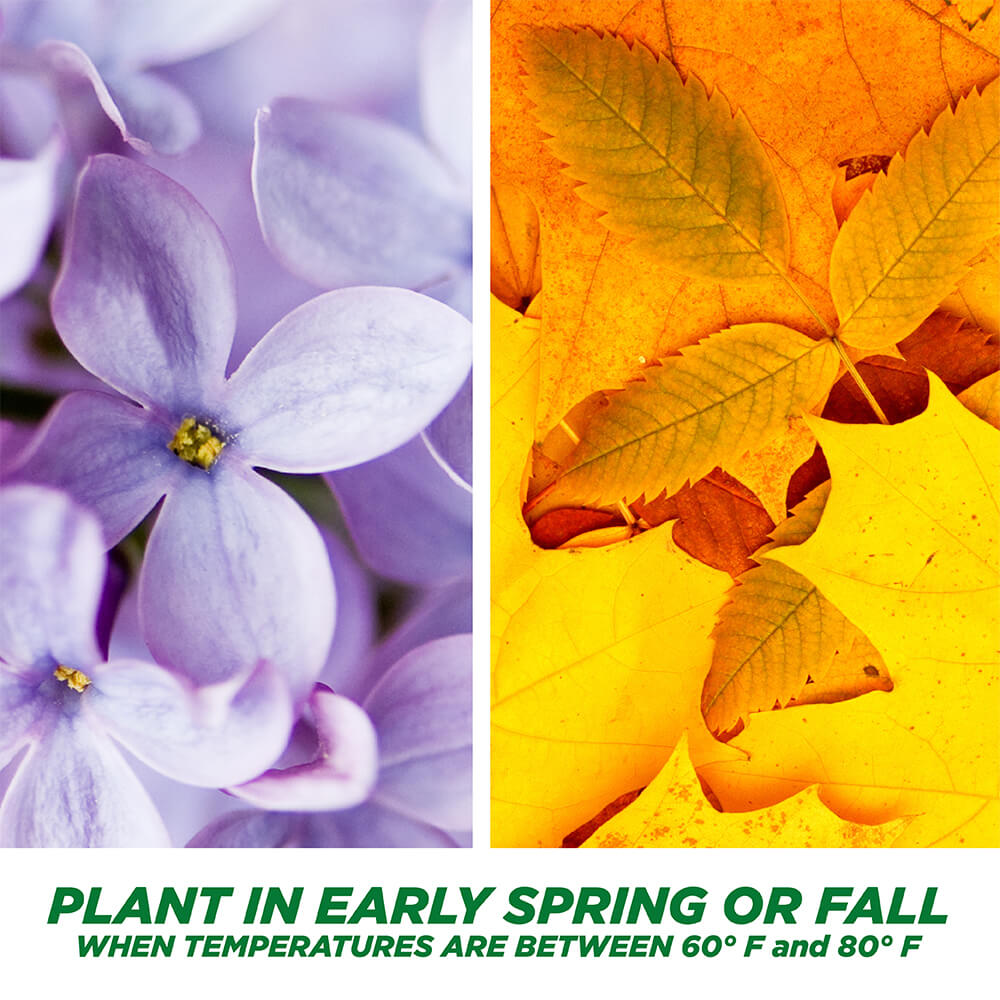 PE-1-Step-Complete_Tall_5