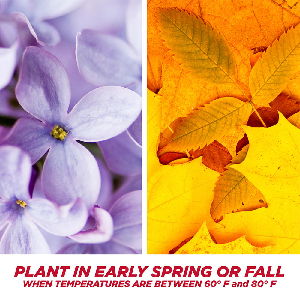 PE-1-Step-Completes_SunShade_5