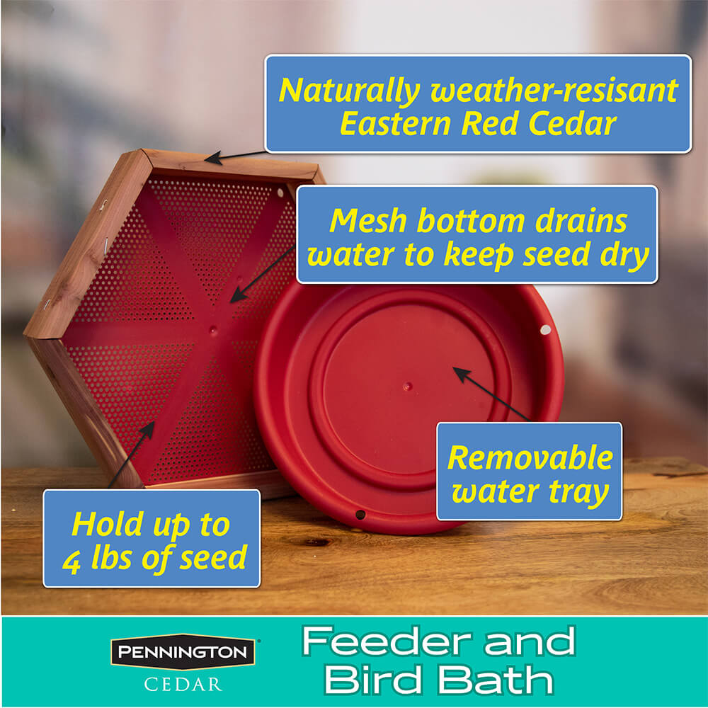PE-Wildbird-Cedar-Hanging-2_in_1-Bird-Bath_4