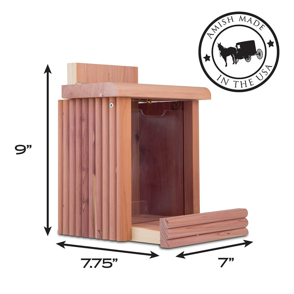 PE-Wildbird-Cedar-Squirrel-Snacker_2