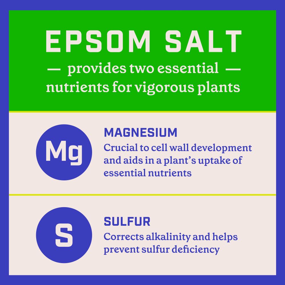 Pennington Epsom Salt