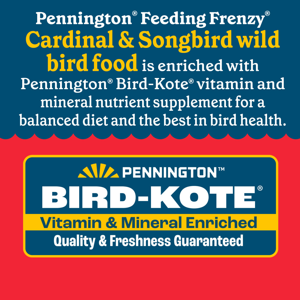 100552171penningtonfeedingfrenzycardinalsongbirdsuetnuggetblendwildbirdfood15poundsminibin10