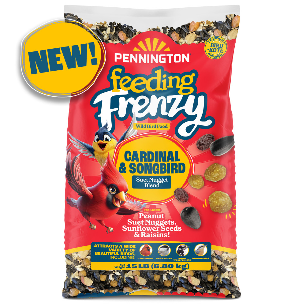 pennington-feeding-frenzy-cardinal-and-songbird-suet-nugget-blend-wild-bird-food-15-lb-3