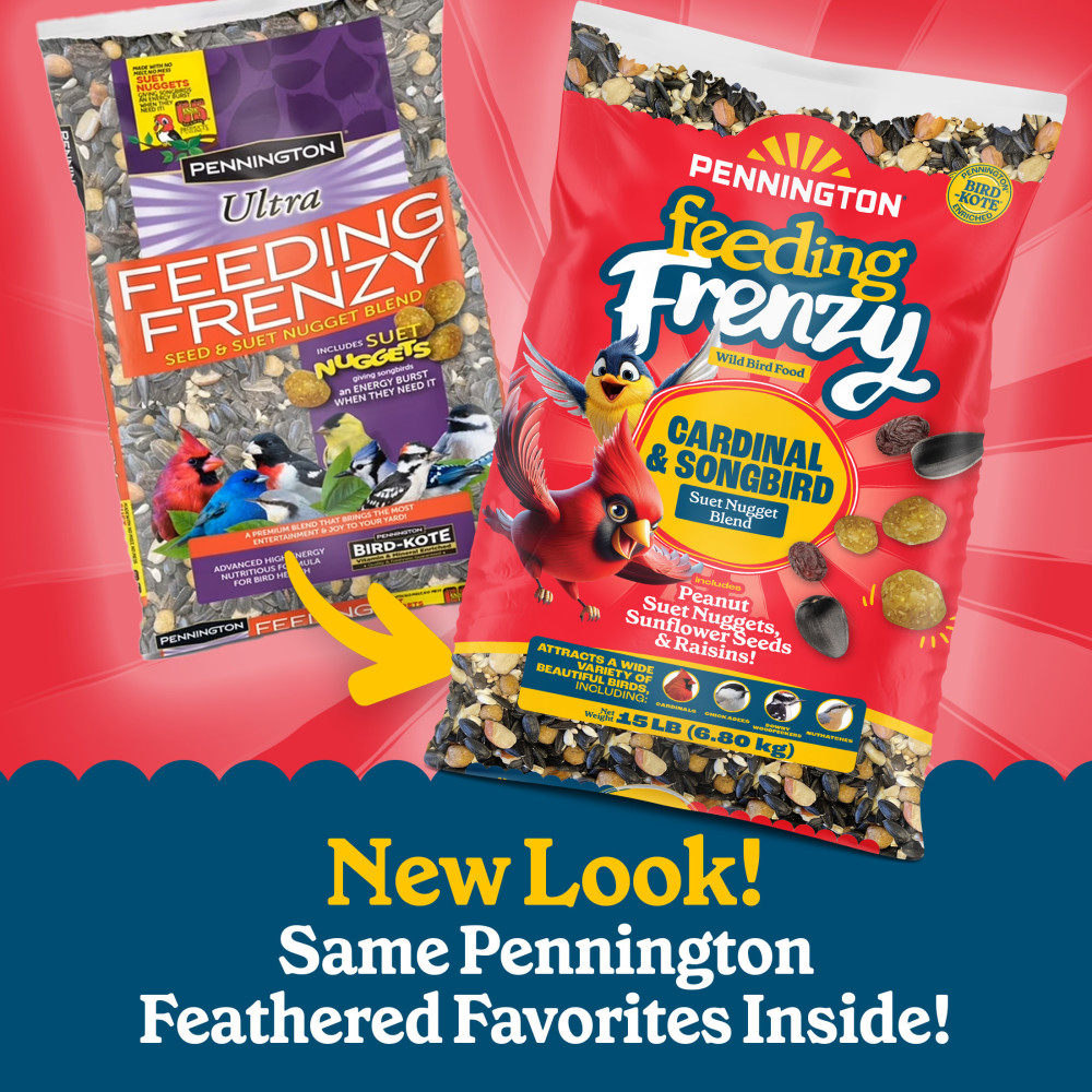 100552171penningtonfeedingfrenzycardinalsongbirdsuetnuggetblendwildbirdfood15poundsminibin4
