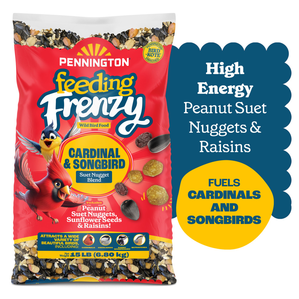 100552171penningtonfeedingfrenzycardinalsongbirdsuetnuggetblendwildbirdfood15poundsminibin5