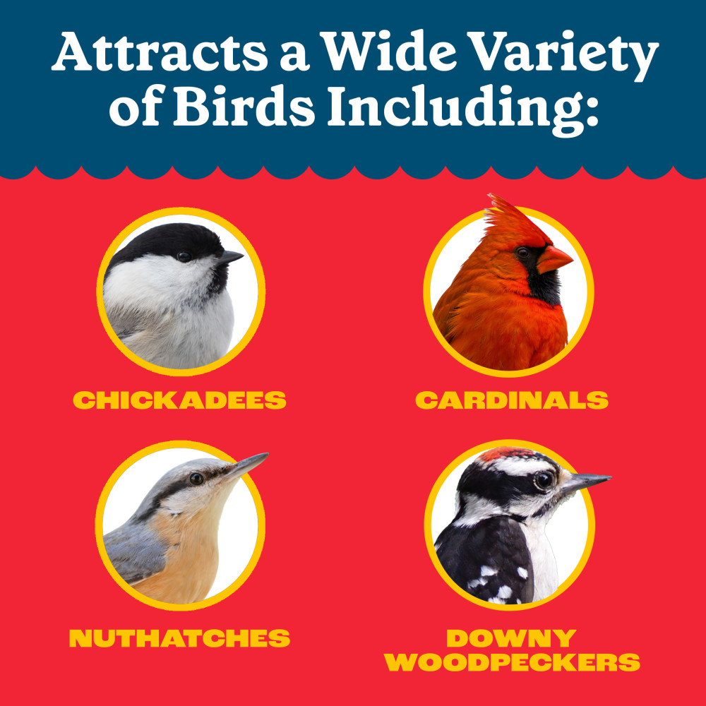 100552171penningtonfeedingfrenzycardinalsongbirdsuetnuggetblendwildbirdfood15poundsminibin8