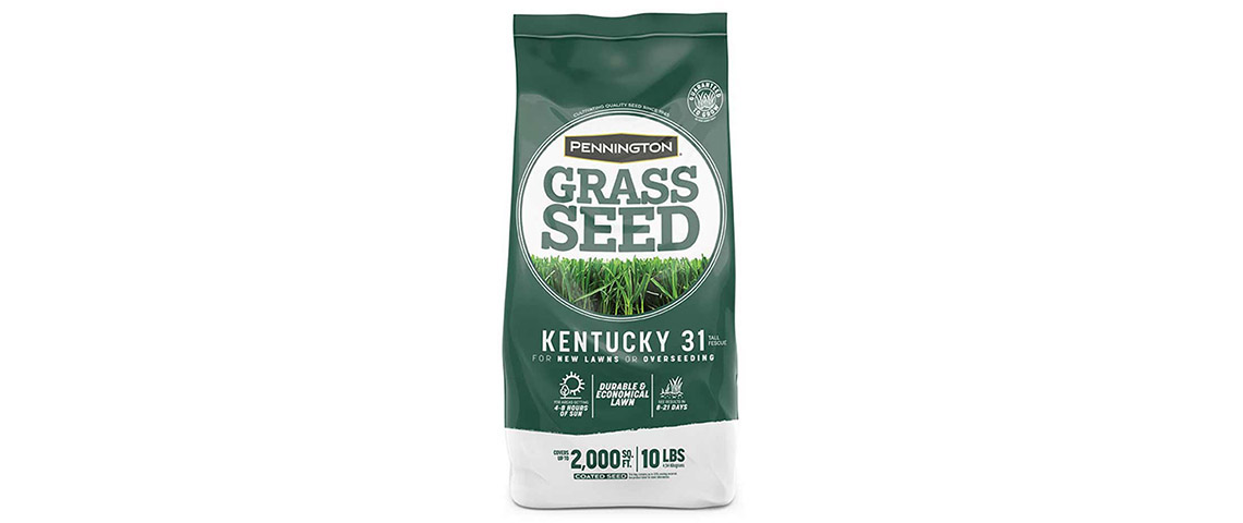 pennington-kentucky-31-tall-fescue-grass-seed-1-10lb-og