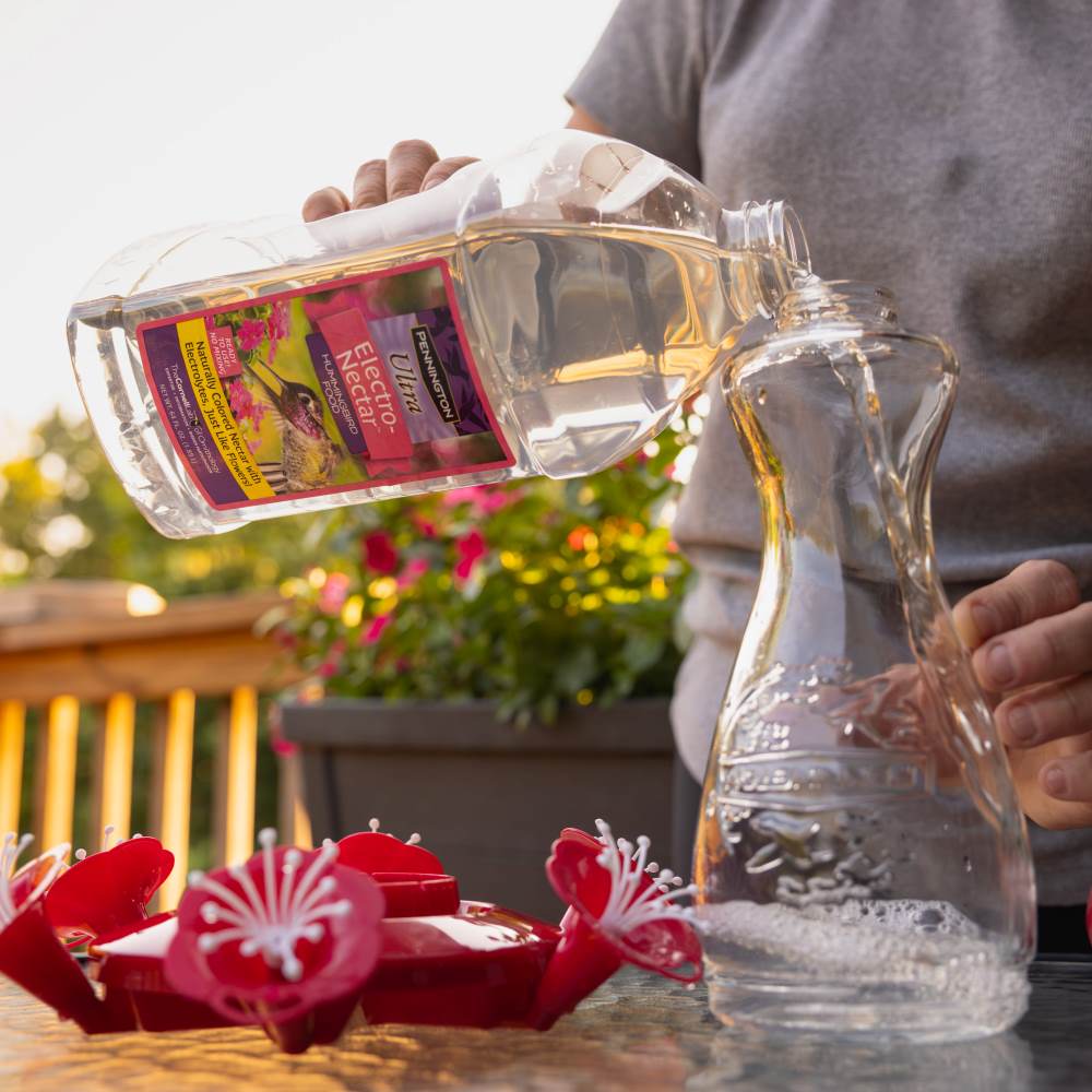 pennington ultraelectro nectar concentrate 