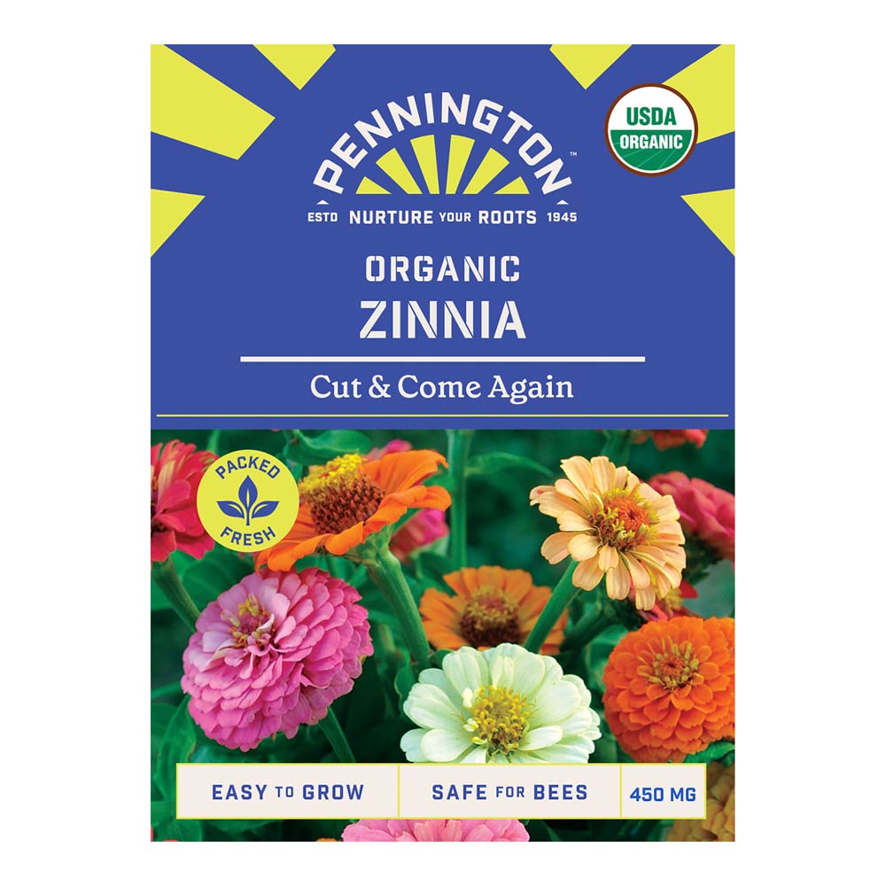 Pennington4497ORGZinniaCutComeAgainfront