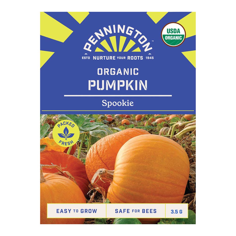 Pennington_0923_ORG_Pumpkin_Spookie_front