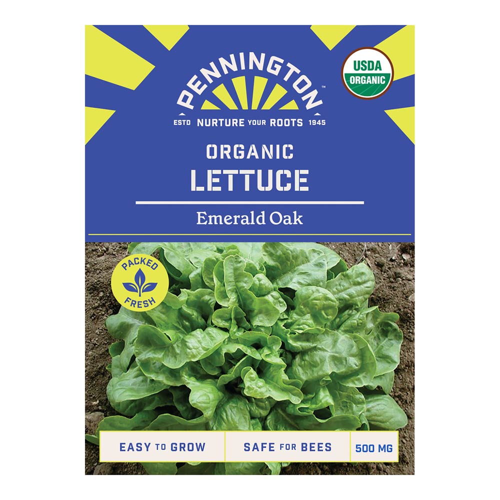 Pennington_4994_ORG_Lettuce_EmeraldOak_front