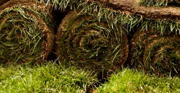 Pro Turf  Seasonal Tips