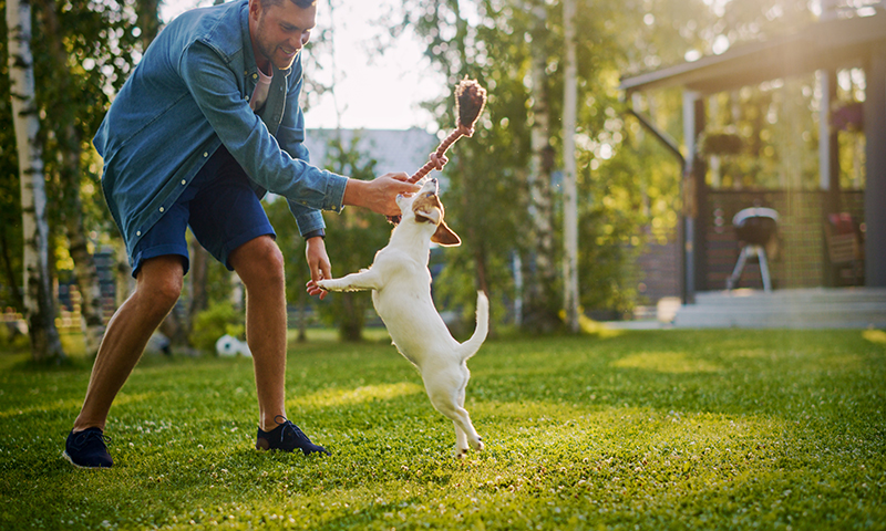 Even healthy lawns need some thin or bare spot repairs now and then.