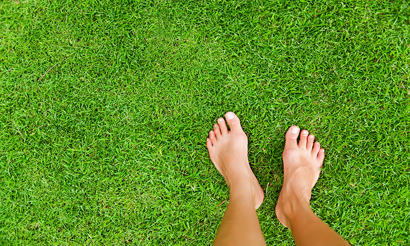 Healthy, lush, green grass and bare feet naturally go together.