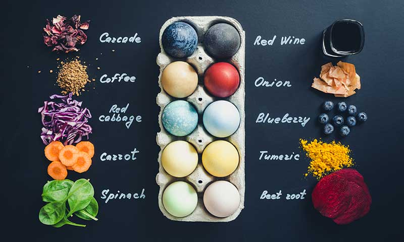 Naturally dyed eggs with the plant or spice used for the dye