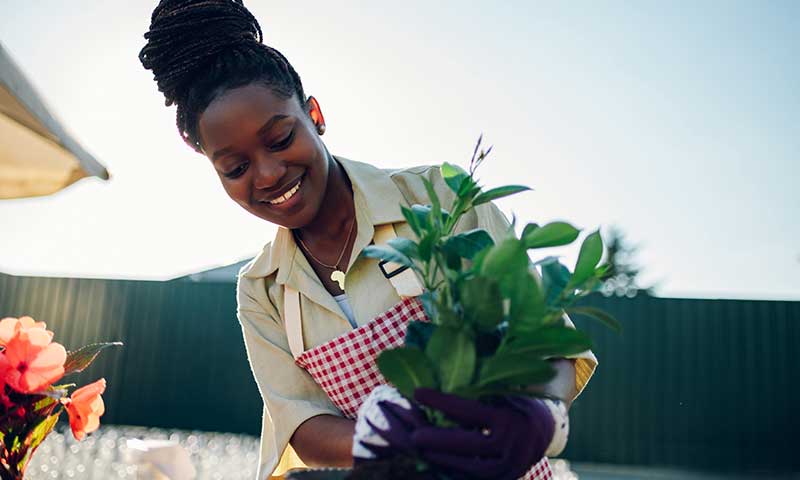 Smiling young African American woman inspecting plant before potting it