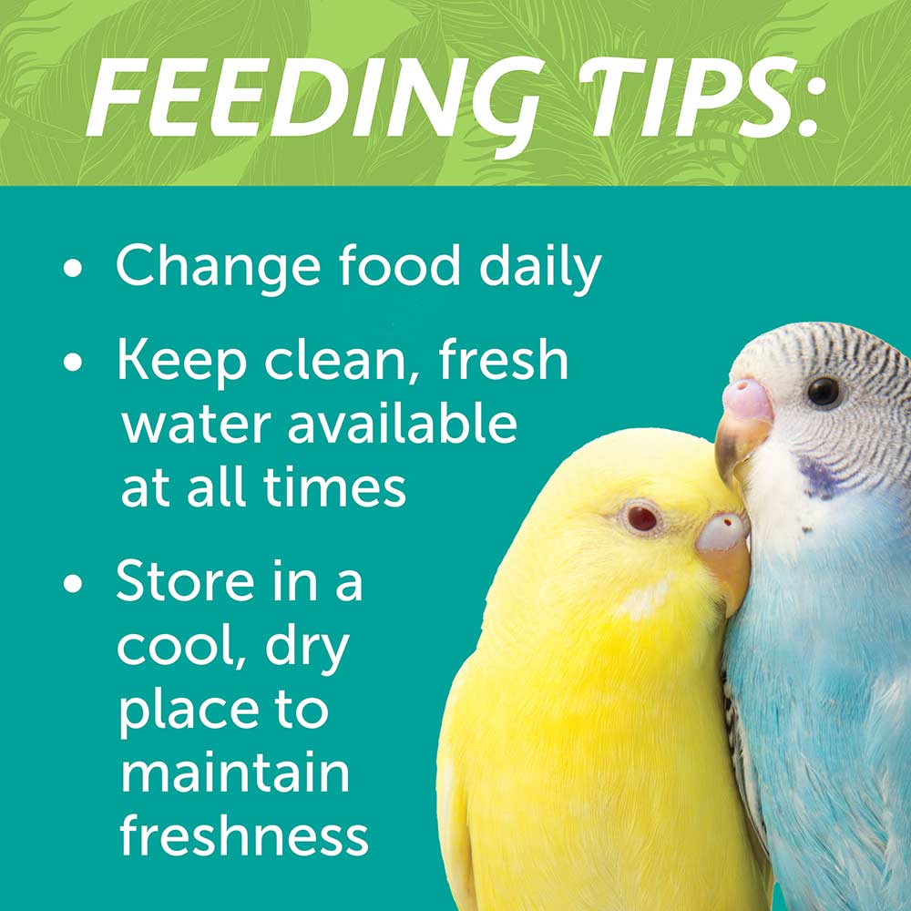 small-bird-blend-3lbs-8