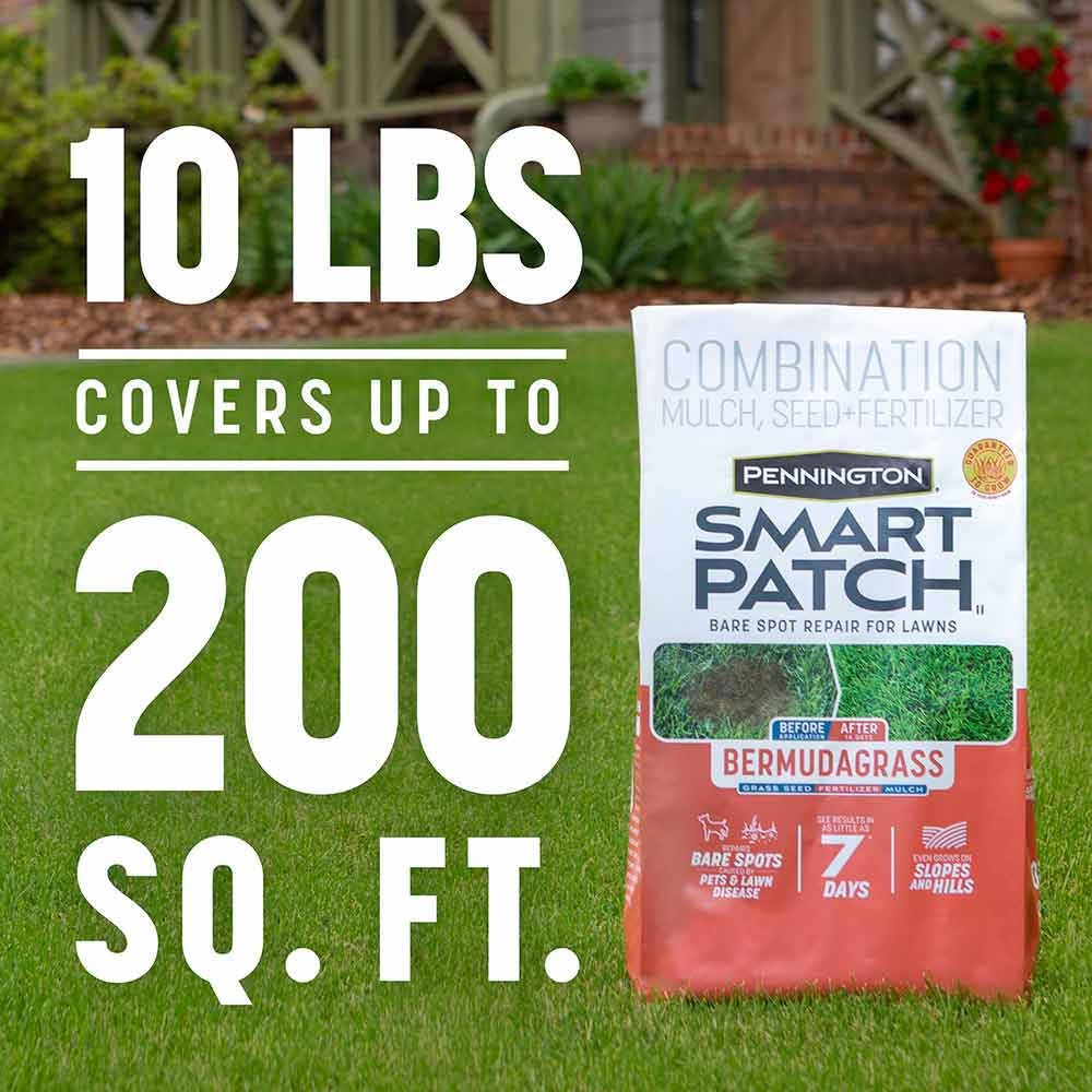 Smart-Patch-Bermuda-10-lb-3