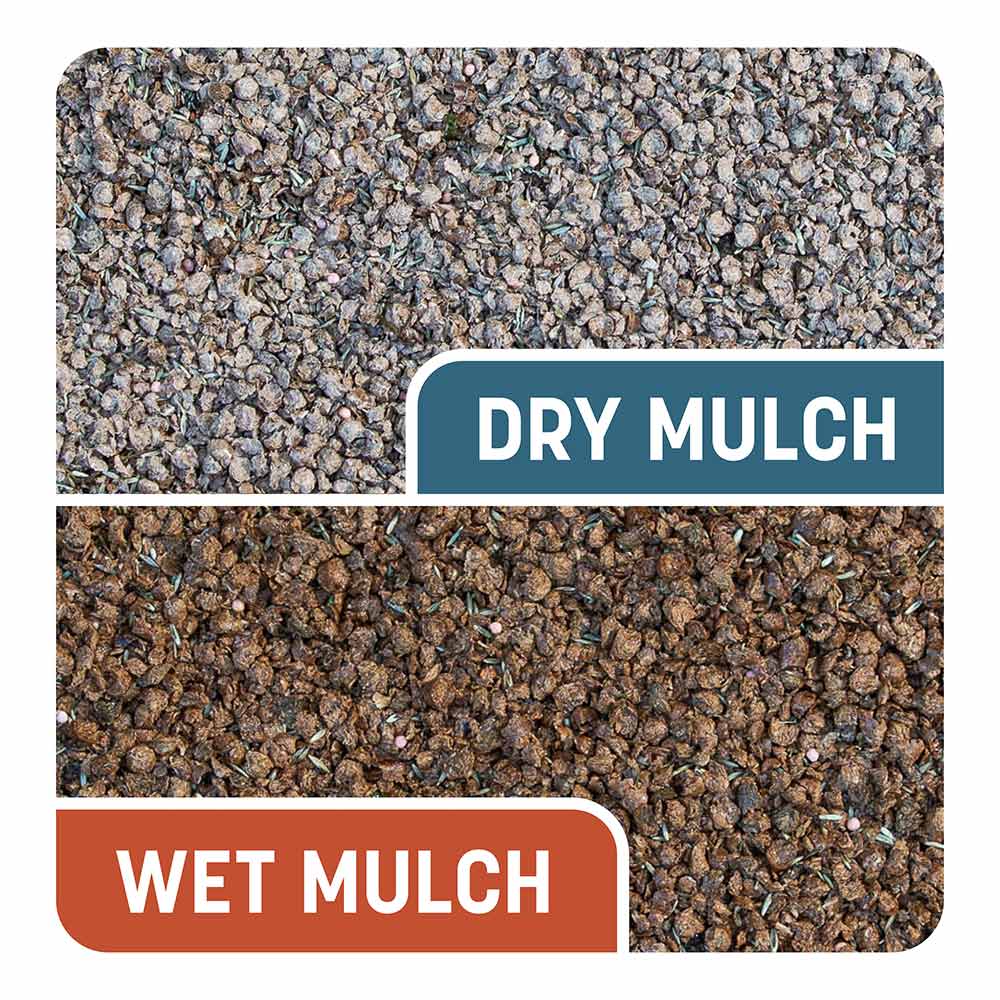 Smart-Patch-Bermuda-11