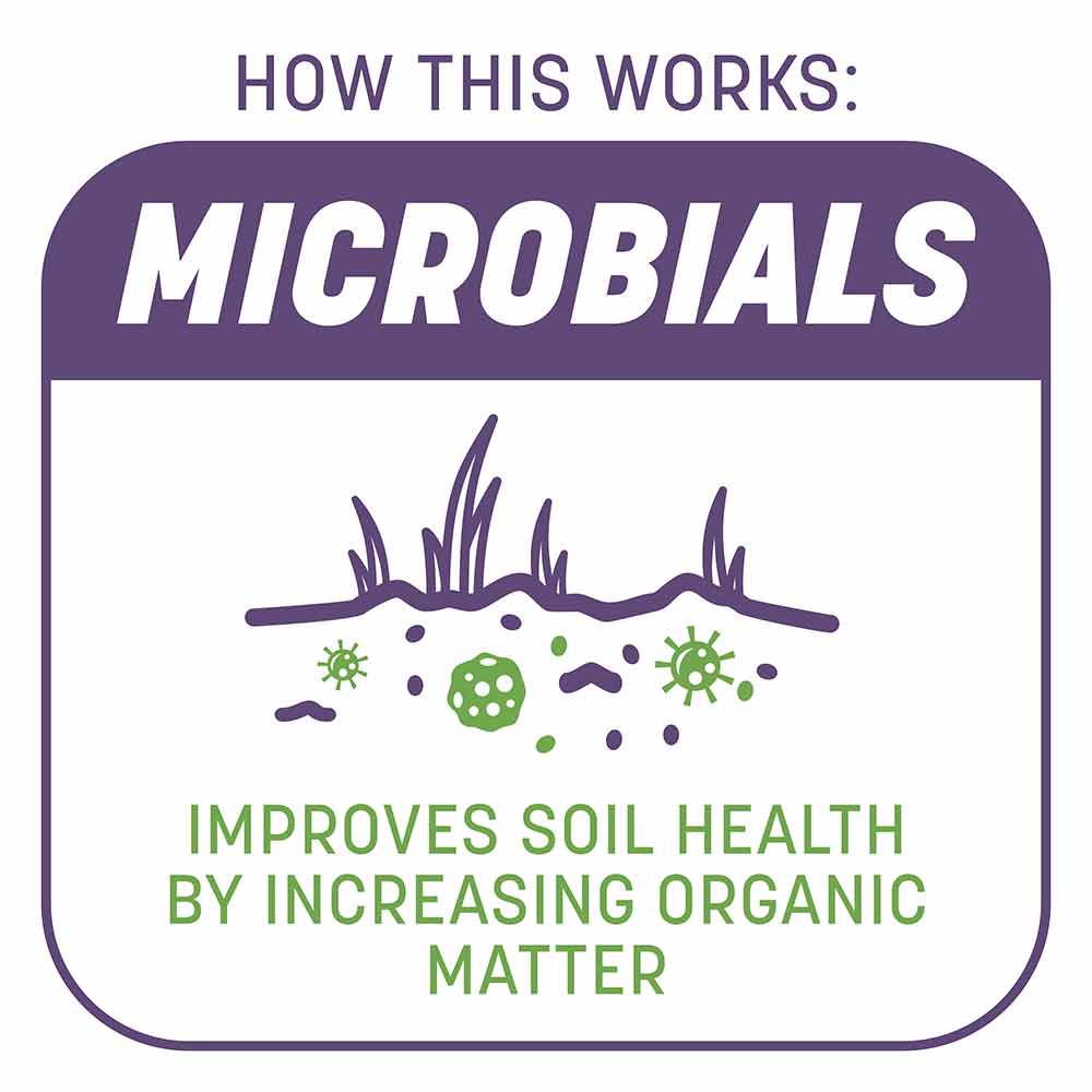 Smart-Patch-Dense-Shade-5