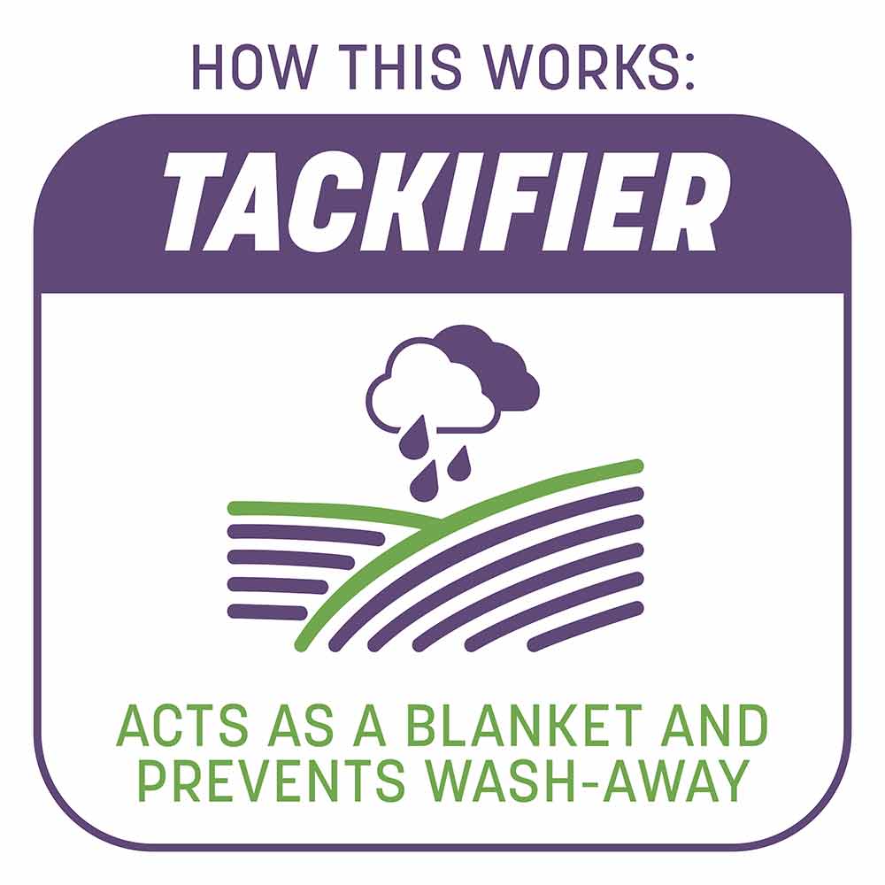 Smart-Patch-Dense-Shade-6