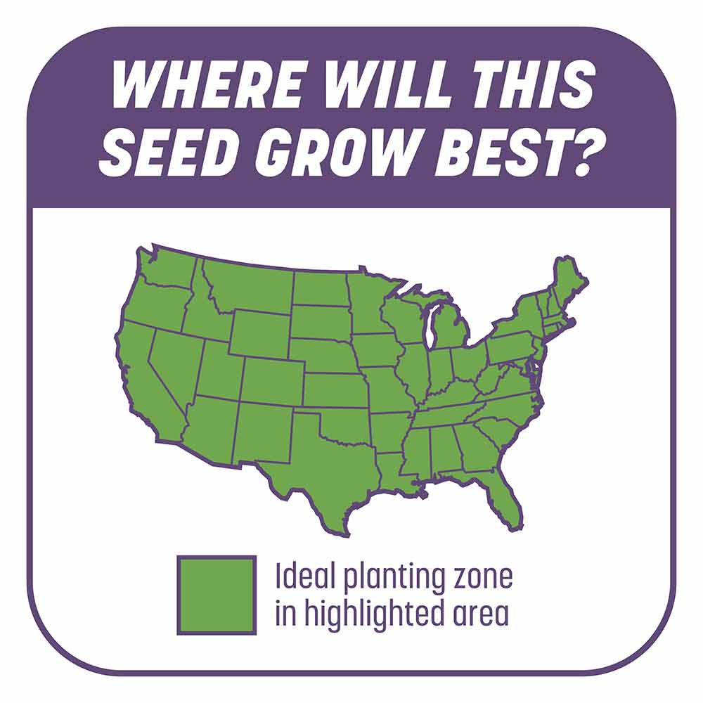 Smart-Patch-Dense-Shade-8