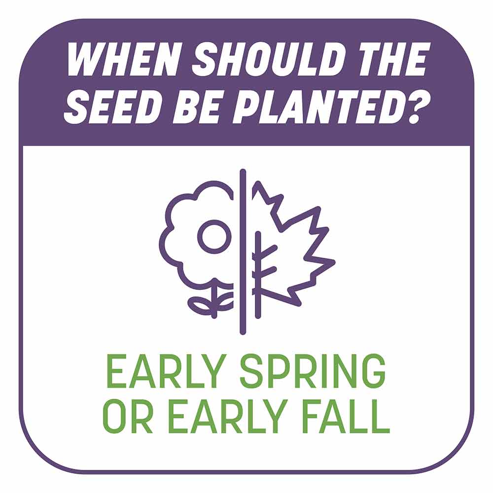 Smart-Patch-Dense-Shade-9