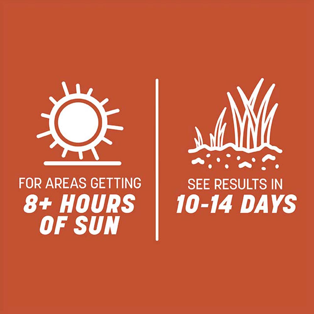 smart-seed-bermuda-grass-sun-time