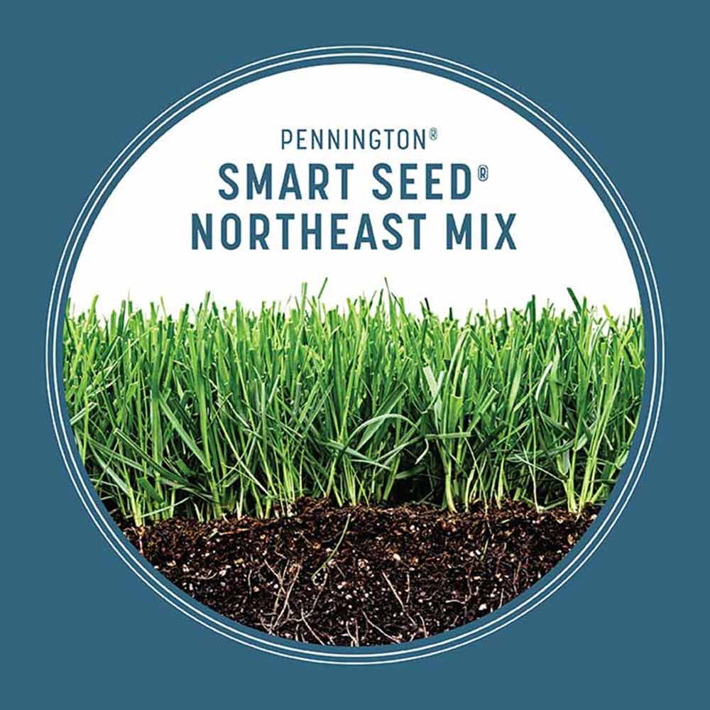 smart-seed-northeast-growth